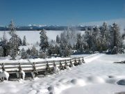 Geheimtipp: Der Yellowstone im Winter Yellowstone im Winter (c) Kolmann