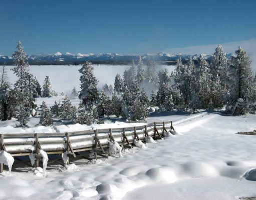 Geheimtipp: Der Yellowstone im Winter Yellowstone im Winter (c) Kolmann