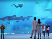 Zahlreiche Neuheiten auf den Florida Keys & Key West