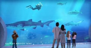 Zahlreiche Neuheiten auf den Florida Keys & Key West