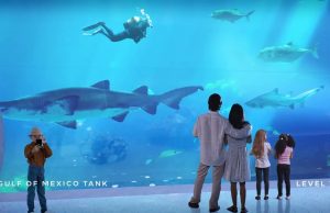 Zahlreiche Neuheiten auf den Florida Keys & Key West