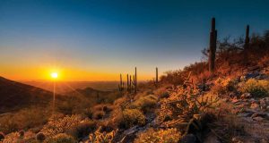 48 Stunden in Scottsdale Scottsdales sunset (c) Tom Mackie Experience Scottsdale