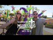 SeaWorld und Busch Gardens mit aufregendem Eventkalender 2023