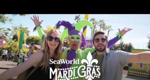 SeaWorld und Busch Gardens mit aufregendem Eventkalender 2023