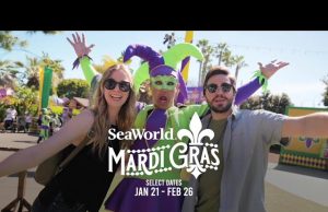 SeaWorld und Busch Gardens mit aufregendem Eventkalender 2023
