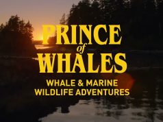 Erhalt des Lebensraumes gefährdeter Walarten in BC