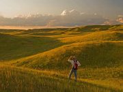 Der Grasslands National Park in Saskatchewan Grasslands National Park (c) Tourism Saskatchewan & Dave Reede Photography