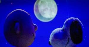 Peanuts im Kennedy Space Center Snoopy Charlie (c) Kennedy Space Center Visitor Complex