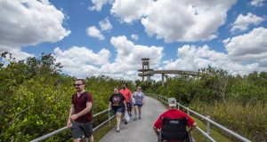 Dank Inklusion ist Florida für alle Urlauber erlebbar Shark Valley (c) PATRICK FARRELL