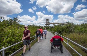 Dank Inklusion ist Florida für alle Urlauber erlebbar Shark Valley (c) PATRICK FARRELL