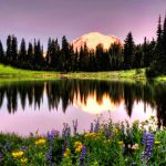 Mount Rainier (c) Port of Seattle / Deby Dixon