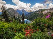 Kreuzfahrten und Touren von Seattle aus Cascade Loop (c) Port of Seattle / Andy Porter