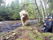 Epische Abenteuer in Kanada