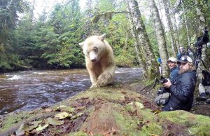Epische Abenteuer in Kanada
