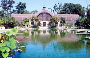 San Diegos Kunst- und Kulturszene