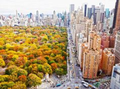 Neuigkeiten aus New York City New York City (c) MarleyWhite