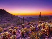 Scottsdale im Sommer erleben Sonoran Preserve (c) Scottsdale SVB