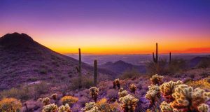 Scottsdale im Sommer erleben Sonoran Preserve (c) Scottsdale SVB