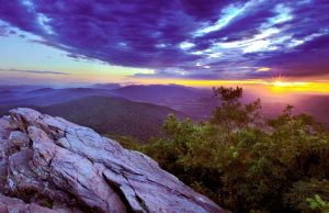 Die Panoramastraße Blue Ridge Parkway wird 90 Blue Ridge Mountain (c) Charlottesville Albemarle CVB
