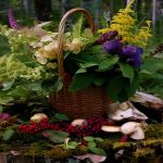 Foraging (c) rnr-projects / AIMD