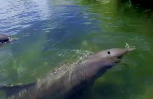 Florida Keys feiern ihren 200. Geburtstag