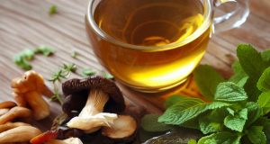 Köstlichkeiten aus dem Norden Saskatchewans Minze, Pfifferlinge, Morchel, Süßwasserfisch, Labrador-Tee (c) rnr-projects AIMD