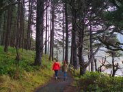 Zu Fuß auf den Spuren der Naturwunder in Oregon Cape Perpetua (c) Travel Oregon
