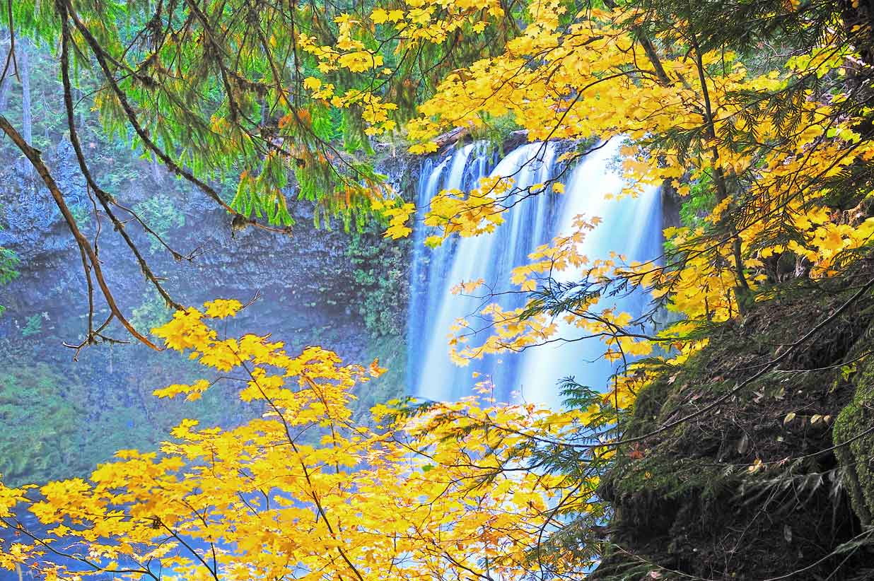 Sahalie Falls (c) Travel Oregon / Christian Heeb