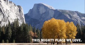 Herbstausflüge im Yosemite Mariposa County