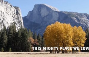 Herbstausflüge im Yosemite Mariposa County