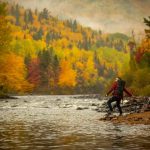 Parc Jacques Cartier (c)  Callum Snape