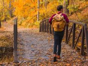 Country Colors in der Countryside of Philadelphia Valley Forge National Historical Park (c) The Countryside of Philadelphia