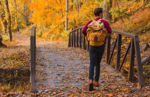 Country Colors in der Countryside of Philadelphia Valley Forge National Historical Park (c) The Countryside of Philadelphia