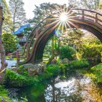 Japanese Tea Garden © Saxon Holt/