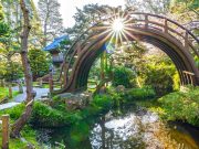 San Francisco: Gärten im Golden Gate Park bieten neuen Besucherpass Japanese Tea Garden © Saxon Holt/
