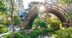 San Francisco: Gärten im Golden Gate Park bieten neuen Besucherpass Japanese Tea Garden © Saxon Holt/