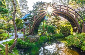 San Francisco: Gärten im Golden Gate Park bieten neuen Besucherpass Japanese Tea Garden © Saxon Holt/