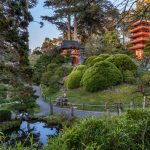 Japanese Tea Garden © Saxon Holt/
