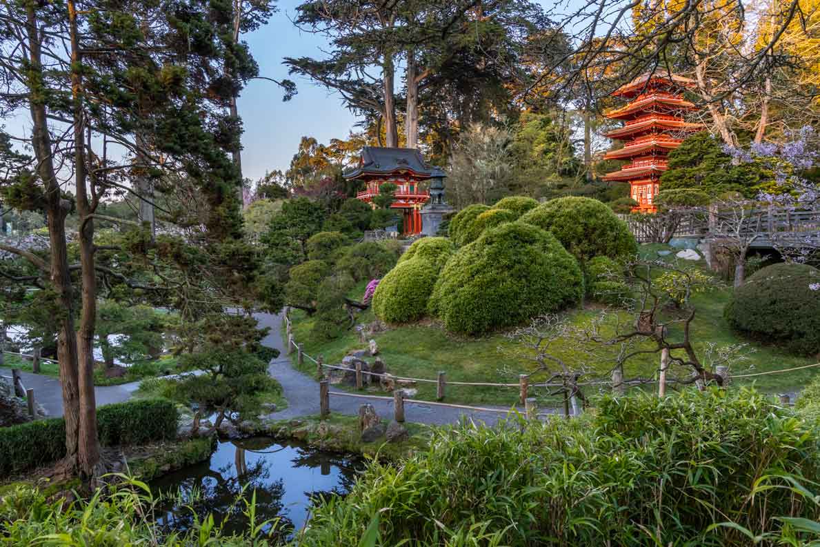 Japanese Tea Garden © Saxon Holt/