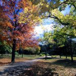Wanderweg im Bernheim Arboretum