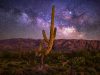 Saguaro National Park – Urban Night Sky Place Saguaro National Park (c) Ray Cleveland