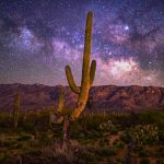 Saguaro National Park (c) Ray Cleveland