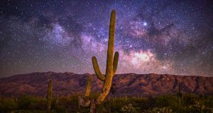 Saguaro National Park – Urban Night Sky Place Saguaro National Park (c) Ray Cleveland