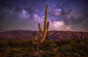 Saguaro National Park – Urban Night Sky Place Saguaro National Park (c) Ray Cleveland