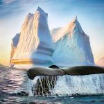 Newfoundland & Labrador Tourism (c) Destination Canada