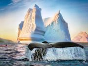 Kanada lockt 2024 mit neuen Reise-Abenteuern für Anfänger und Profis Newfoundland & Labrador Tourism (c) Destination Canada