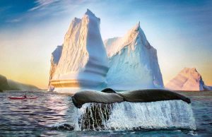 Kanada lockt 2024 mit neuen Reise-Abenteuern für Anfänger und Profis Newfoundland & Labrador Tourism (c) Destination Canada