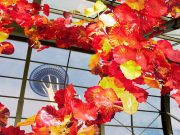 Seattle 2024: große Aktionen, große Jubiläen, große Auswahl Chihuly Garden Glass (c) Visit Seattle