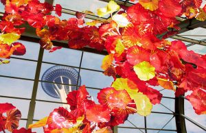 Seattle 2024: große Aktionen, große Jubiläen, große Auswahl Chihuly Garden Glass (c) Visit Seattle