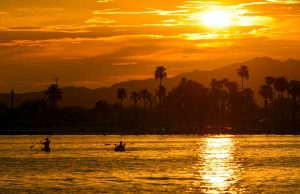 Wasserspaß in Arizona Lake Havasu (c) Susan Stockman
